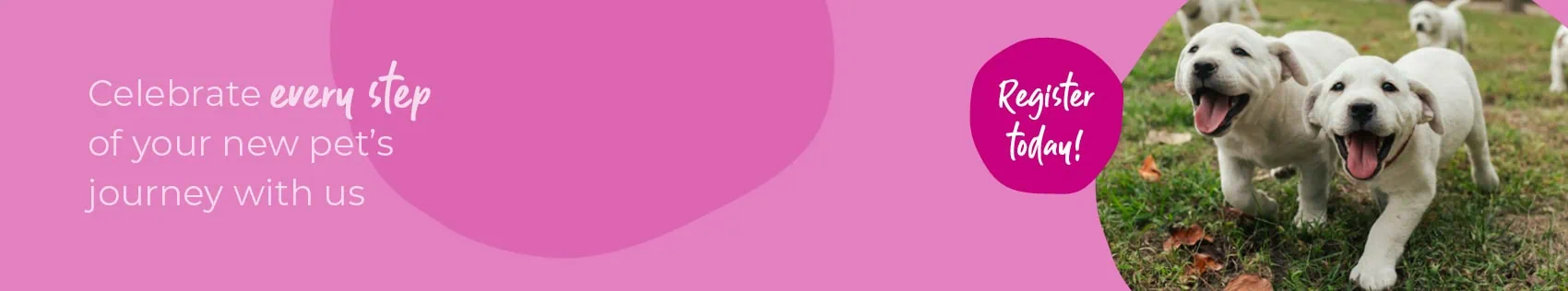 Start of Life for Your Puppy or Kitten