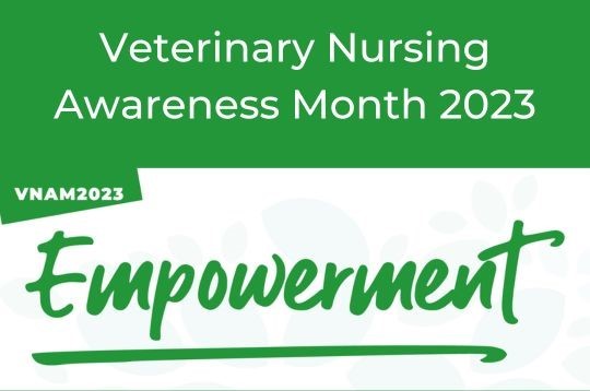 Veterinary Nursing Awareness Month at Wildbore Vets