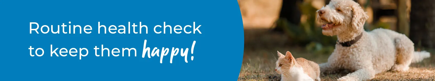 Pet Health Check in Worksop | Preventative Vet Care