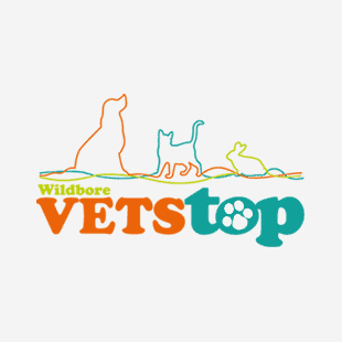 Common Breed Health Overviews